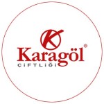 Karagöl