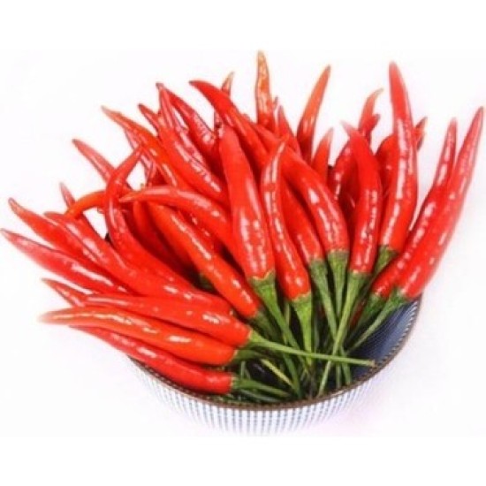 Hint Biberi (Zehir Acı) 1 KG