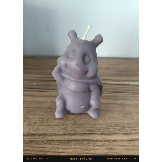 Ayvacık Orta Mum (Bal Mumu)